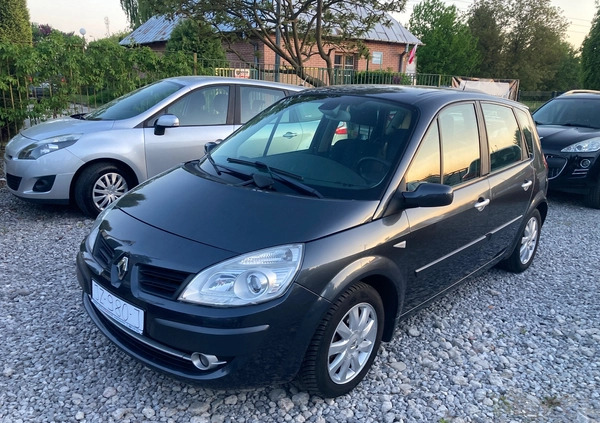 Renault Scenic cena 13900 przebieg: 180000, rok produkcji 2007 z Puławy małe 67